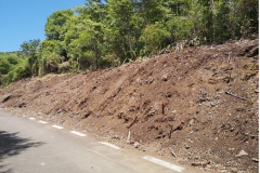 chamarel_march2021_1