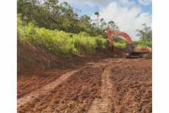 d4_01