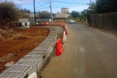 photo0635