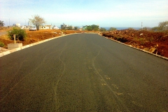photo0710